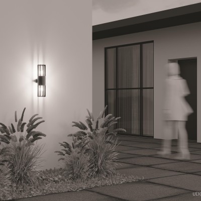 Уличный настенный светильник Outdoor O453WL-02GF