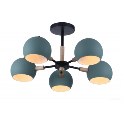 Потолочный светильник Freya FR5032CL-05B