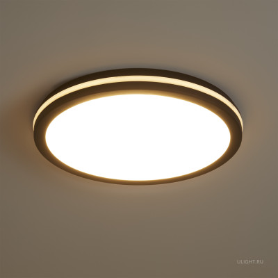 Потолочный светильник Freya FR6160CL-L40B