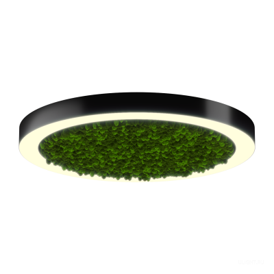 Светильник HOKASU Halo Moss (RAL9005/D830/LT70 — 3K/78W/120deg)
