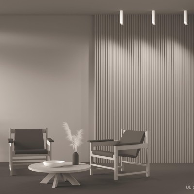 Потолочный светильник Technical C044CL-01-25GU10-W