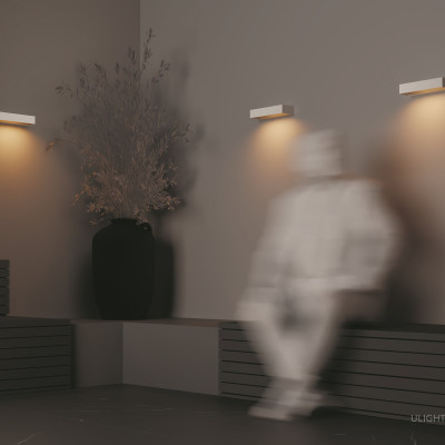 Уличный настенный светильник Outdoor O428WL-L10W3K