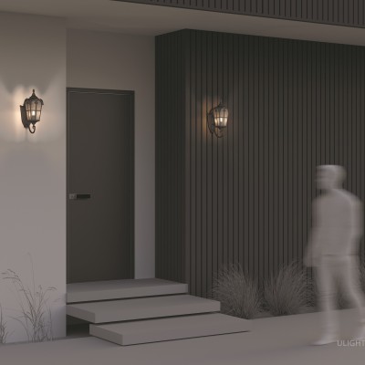 Уличный настенный светильник Outdoor O413WL-01BZ1