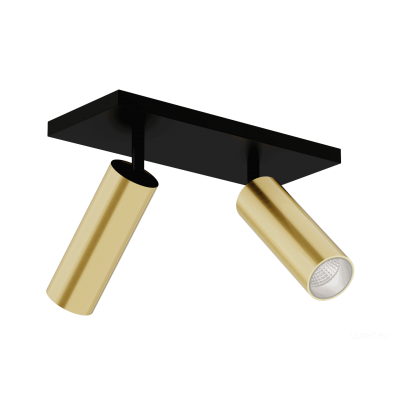 Накладной Светильник HOKASU Tube DUO (55-120/gold – 20w/4090/10deg)