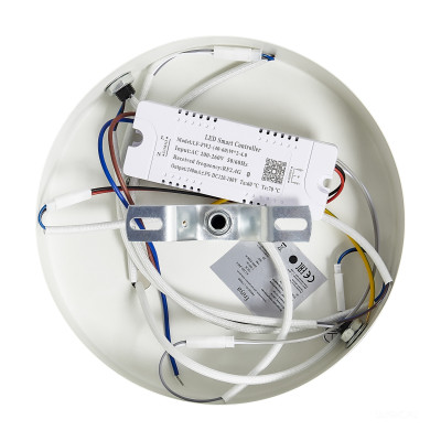 Потолочный светильник Freya FR6201CL-L135GB