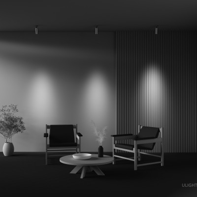 Потолочный светильник Technical C055CL-L12W3K-W-PT