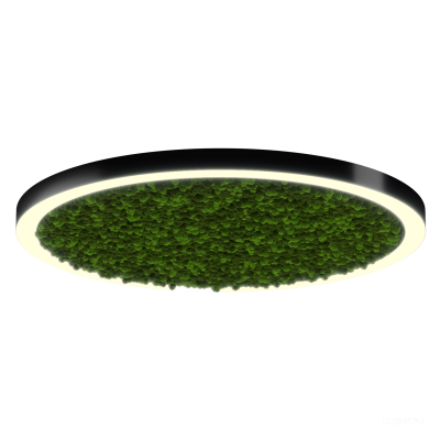 Светильник HOKASU Halo Moss (RAL9005/D1400/LT70 — 3K/132W/120deg)