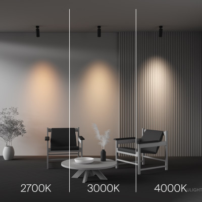 Потолочный светильник Technical C055CL-L20W2.7-3-4K-M-B