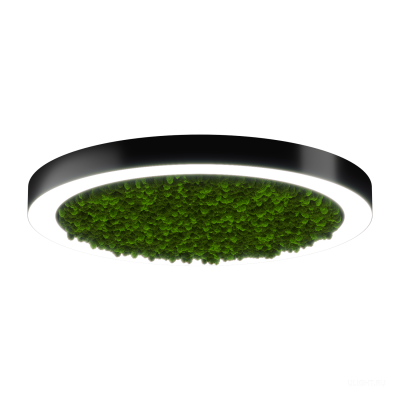 Светильник HOKASU Halo Moss (RAL9005/D830/LT70 — 4K/78W/120deg)