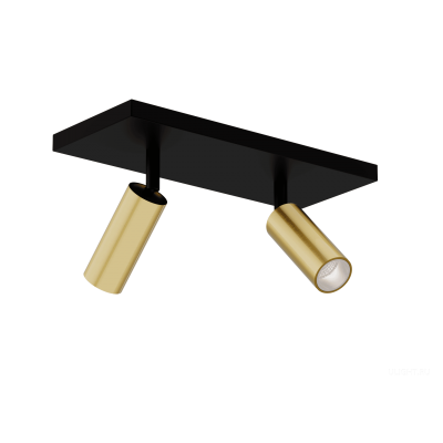 Накладной Светильник HOKASU Tube DUO (40-100/gold – 14w/4090/15deg)