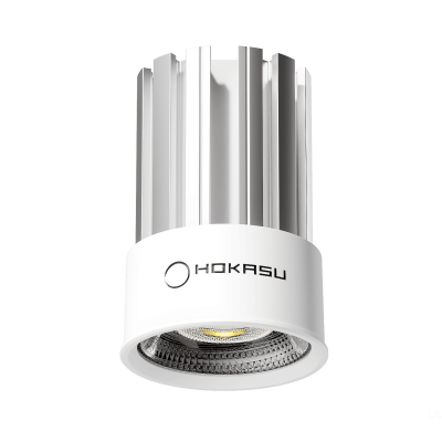 Модуль HOKASU HS45 (RAL9003/60deg — 3K/10W/CRI90)