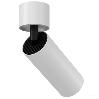 Потолочный светильник Technical C055CL-L12W2.7K-Z-B