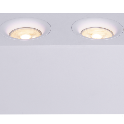 Потолочный светильник Technical C013CL-02W