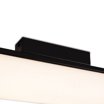 Потолочный светильник Freya FR5625CL-L20B