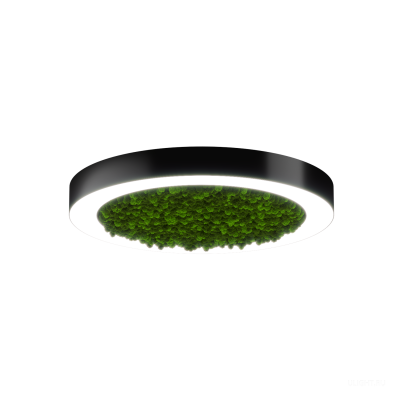 Светильник HOKASU Halo Moss (RAL9005/D625/LT70 — 4K/59W/120deg)