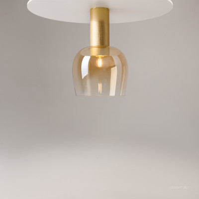 Потолочный светильник Maytoni MOD414CL-01G