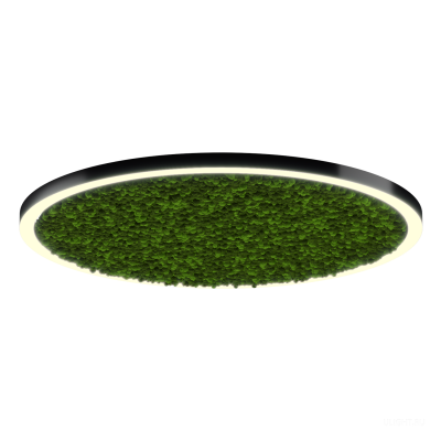 Светильник HOKASU Halo Moss (RAL9005/D2000/LT70 — 3K/188W/120deg)