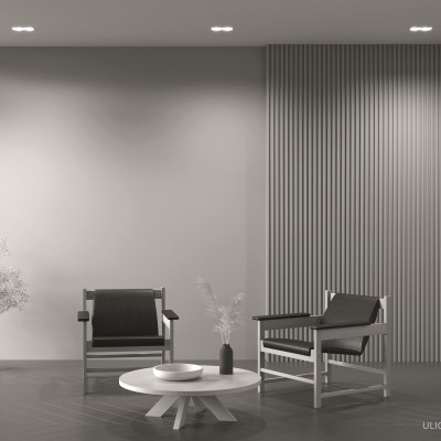 Встраиваемый светильник Technical DL029-2-02W