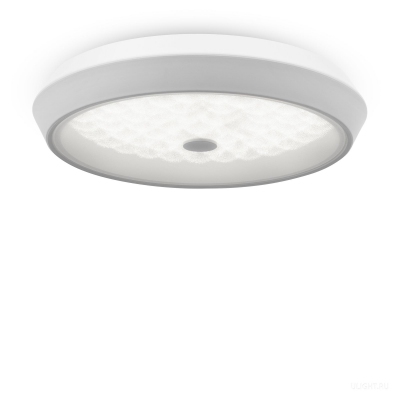 Потолочный светильник Freya FR10012CL-L24W