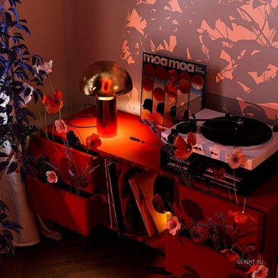 Настольный светильник Freya FR5218TL-01BS