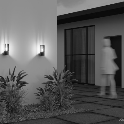 Уличный настенный светильник Outdoor O453WL-01GF