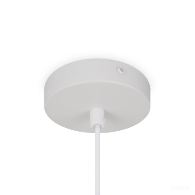 Подвесной светильник Freya FR5392PL-01W