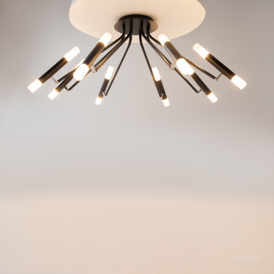 Потолочный светильник Maytoni MOD620CL-16B