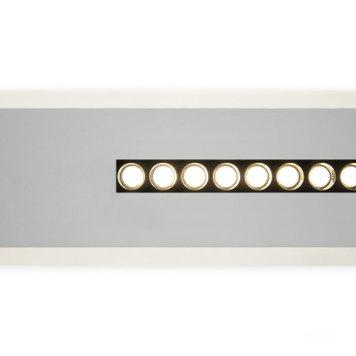 Потолочный светильник Freya FR6105CL-L40W