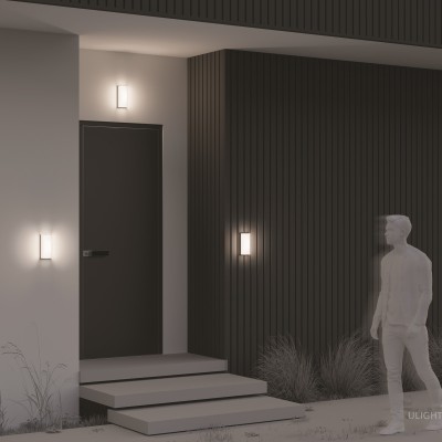 Уличный настенный светильник Outdoor O454WL-L10GF3K1