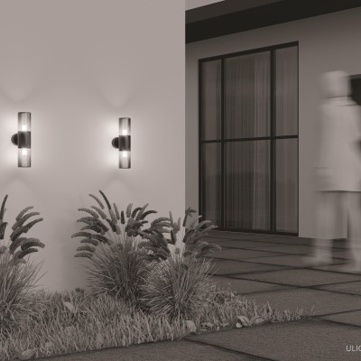 Уличный настенный светильник Outdoor O432WL-02GF