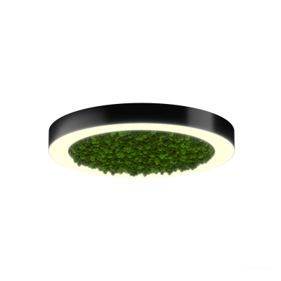 Светильник HOKASU Halo Moss (RAL9005/D625/LT70 — 3K/59W/120deg)