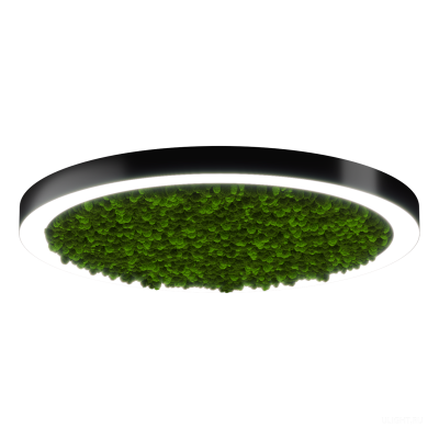 Светильник HOKASU Halo Moss (RAL9005/D1050/LT70 — 4K/99W/120deg)