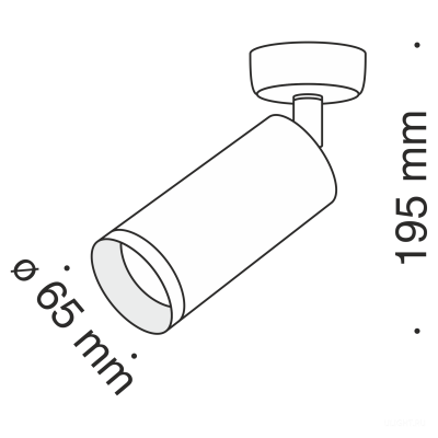 Потолочный светильник Technical C017CW-01G
