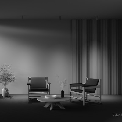 Потолочный светильник Technical C056CL-L12W2.7K-W-PT