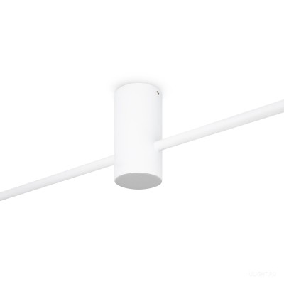Потолочный светильник Freya FR5363CL-02W1