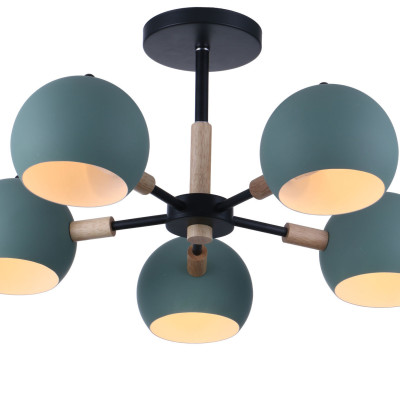 Потолочный светильник Freya FR5032CL-05B