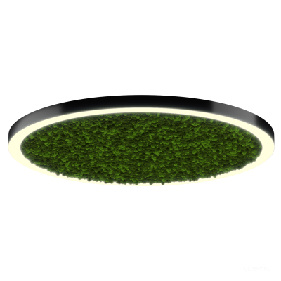 Светильник HOKASU Halo Moss (RAL9005/D1550/LT70 — 3K/146W/120deg)