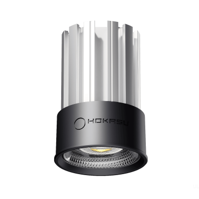 Модуль HOKASU HS45 (RAL9005/60deg — 3K/10W/CRI90)