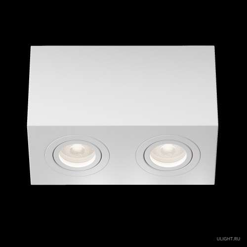 Потолочный светильник Technical C017CL-02W