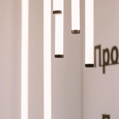 INTERLIGHT 2024 фото:23