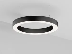 Светильник HOKASU Halo (RAL9003/D830/LT70/IP65 — 4K/78W/120deg)