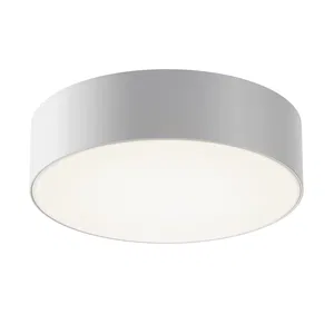 Уличный потолочный светильник Outdoor O431CL-L30W4K