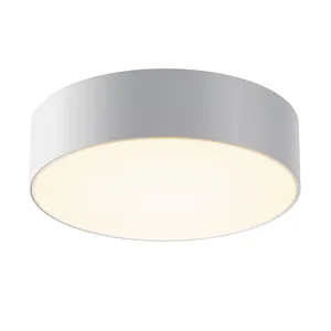 Уличный потолочный светильник Outdoor O431CL-L30W3K