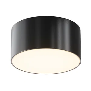 Уличный потолочный светильник Outdoor O430CL-L15B3K