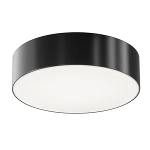 Уличный потолочный светильник Outdoor O431CL-L30B4K