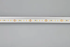 Лента RT 2-5000 24V Day5000 2x (2835, 600 LED, CRI98) (Arlight, 14.4 Вт/м, IP20)