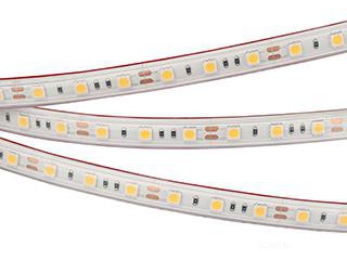 Лента герметичная RTW-PS-B60-12mm 12V Day4000 (14.4 W/m, IP67, 5060, 5m) (Arlight, 14.4 Вт/м, IP67)