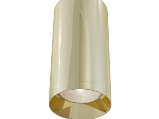 Потолочный светильник Technical C010CL-01G