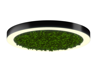 Светильник HOKASU Halo Moss (RAL9005/D830/LT70 — 3K/78W/120deg)