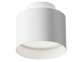 Потолочный светильник Technical C009CW-L12W4K